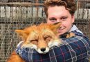 Mężczyzna uratował lisa z fermy, są teraz najlepszymi przyjaciółmi